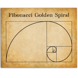 Math Fibonacci Spiral - 11x14 Unframed Art Print - Makes a Great Gift - Picture 1 of 8