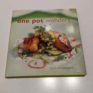 One Pot Wonders: Over 100 Simple Recipes (2012, Hardcover) – Conrad Gallagher