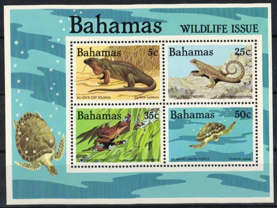 Багамская марка 567a - игуана, ящерица, лягушка и черепаха - Изображение 1 из 1