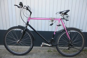 Centurion Fahrrad 26 Zoll Mountainbike - Bild 1 von 14