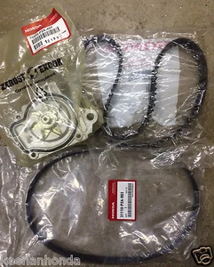Kit de correa de distribución original OEM Honda Civic paquete 1996-2000 - Imagen 1 de 1