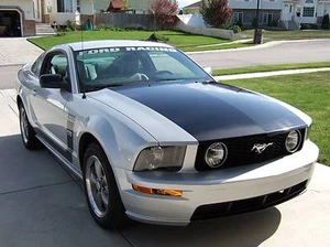 05-09 Mustang Steeda Style Hood Blackout Decal Graphic Stripes Vinyl Stickers - Picture 1 of 1