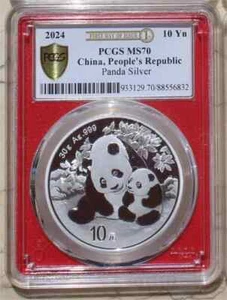 Moneda Panda Plata PCGS MS70 China 2024 30g (Primer Día de Emisión, Roja) - Imagen 1 de 5