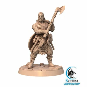 Trond Rollo Vikingo Nórdico - Juegos Signum - Fantasy Dungeons and Dragons Mini - Imagen 1 de 4