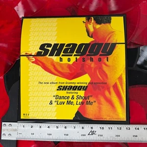 SHAGGY HOTSHOT boombastic CD/LP PROMO FLAT POSTER (UN)Framed - Picture 1 of 4