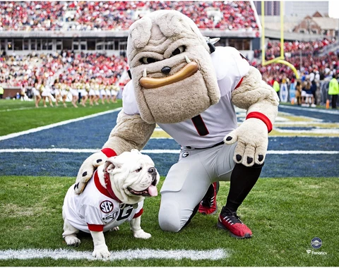 Georgia Bulldogs Unsigned Hairy Dawg with Uga Photograph Cover