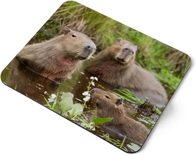 Capybara - Tappetino per Mouse per Computer - Nuoto per Famiglia, Casa, Ufficio, - Immagine 1 di 4