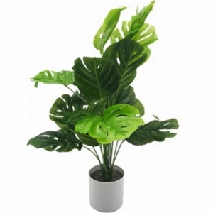 Artificial Monstera (Cheese Plant) in Pot - Picture 1 of 1