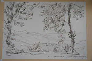 Sepia Federzeichnung signiert um 1900 Ansicht Lago Maggiore 29x20cm - Bild 1 von 5