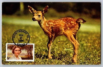 #4223 Majorie Kinnan Rawlings FDC Maxi Card - Image 1 of 2