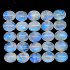 25 Pcs Natural Rainbow Moonstone 11x9mm Oval Blue Shines Cabochon Gemstones Lot