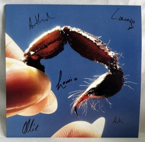 IN HAND & SIGNED!! Squid Cowards CLEAR Vinyl LP •Brand New• AUTOGRAPHED - Picture 1 of 6