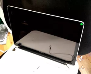 APPLE MACBOOK PRO 15 A1286 MEDIADOS DE 2010 LED PANTALLA LCD MONTAJE EMC 2353 - Imagen 1 de 5
