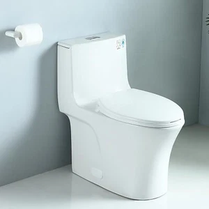 One Piece Toilet, 1.1/1.6 GPF Elongated Dual Flush Toilet Soft Closing Seat, ADA - Picture 1 of 9