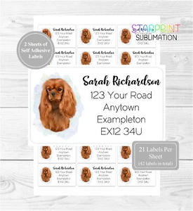 Cavalier King Charles Spaniel 42 Personalised Address Labels/Stickers - Ruby - Bild 1 von 1