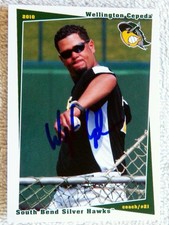 Arizona Diamondbacks Wellington Cepeda Signed 2010 South Bend Silver Hawks Card
