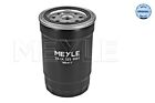 MEYLE Fuel Filter For HYUNDAI Accent IV KIA Grand Carnival III 01-15 319223A850