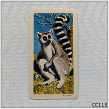 Brooke Bond Tea Card African Animals #1 Ring-Tailed Lemur (CC115)