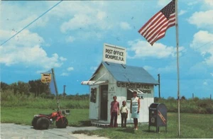 POST, OCTOPEE, FLORIDA - USA Postkarte - Bild 1 von 2