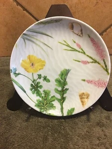 Spode Shoreline Breeze-Yellow Poppy Dessert Plate FREE SHIPPING - Picture 1 of 2