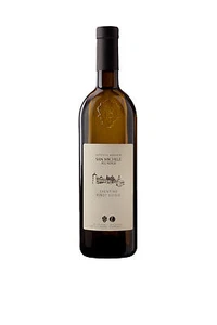 6 bt. PINOT GRIGIO DOC TRENTINO 2024 Fondazione EDMUND MACH - Imagen 1 de 1