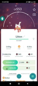 Pokemon Shiny Litten Go - Picture 1 of 2