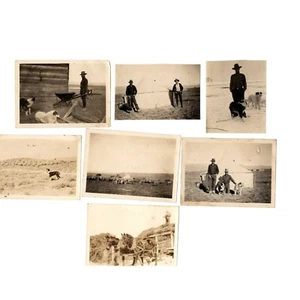 7 Fotos Hotchkiss Colorado Sheep Ranch John E Holzfütterung an Schiffschleppen Heu - Bild 1 von 2