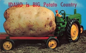 Postcard Idaho is BIG Potato Country Humor Exaggeration - Picture 1 of 3