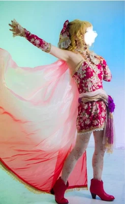 FINAL FANTASY VI Terra Branford Cosplay Kostüm L & Perücke gebraucht - Bild 1 von 4