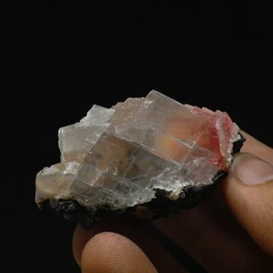 New Find : Reddish pink calcite with mesolite from Moldy Raspberry pocket #2965 - Picture 1 of 6