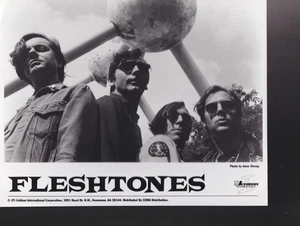 fleshtones labor of sound press kit 1995 - Bild 1 von 2