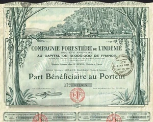 AFRICA IVORY COAST FORESTRY COMPANY OF INDENIE bond/ stock certificate - Picture 1 of 1