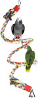 Vogelbarsch, Jusney großes Papageienspielzeug 63 Zoll Kletterseil Bungee Vogelspielzeug