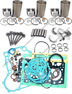 Overhaul Rebuild Kit for Komatsu 3D70E-5 Engine Pramac P11000 Norpro7NY Mase IS9 - Bild 1 von 2