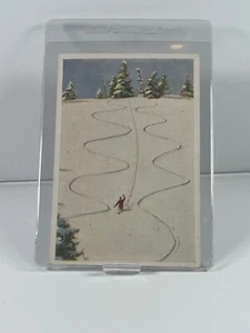 1932 Sanella Margarine Type 3 Set-Break #105 Downhill Skiing - German - NM - Picture 1 of 2