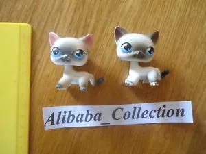 ** # LOT 2 chat cat europeen 05 05bis ? LPS LITTLEST PETSHOP PET SHOP HASBRO B - Foto 1 di 6