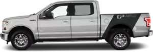Calcomanía gráfica de vinilo para rally banner lateral de cama a rayas para Ford F-150 2015 en adelante - Imagen 1 de 4