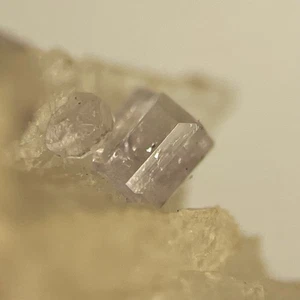 Fluorapatite Crystal Micro Harvard Mine Greenwood MAINE USA - Picture 1 of 9