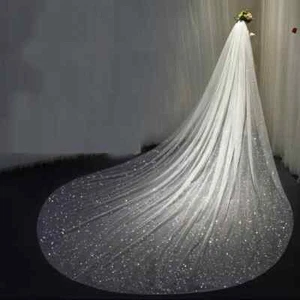 Long Wedding Bridal Veil Train Cathedral Veils Bride Sparkly Glitter Tulle 1Tier - Picture 1 of 10