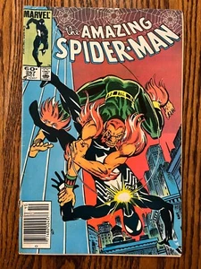 THE AMAZING SPIDER-MAN #257 1984 Marvel Comics Group Black Cat Kingpin 2nd Puma - Picture 1 of 3