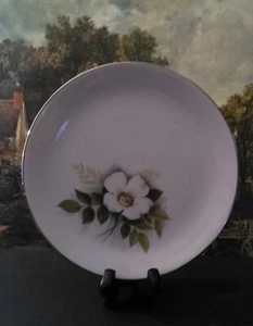 Plato de ensalada Nancy Prentiss rosa marfil 8" fina China EE. UU. 1962 - Imagen 1 de 3