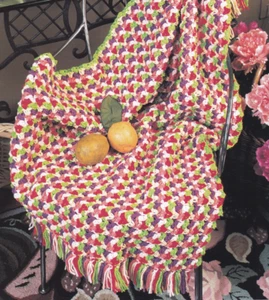 Crochet Afghan Pattern FRUIT SALAD AFGHAN Instructions Leaflet Annie's - Picture 1 of 2