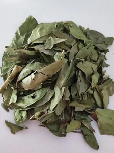 Feuilles d'Hysope Africain Purification, Déblocage, Chance Bains Spirituel 100g - Photo 1/3