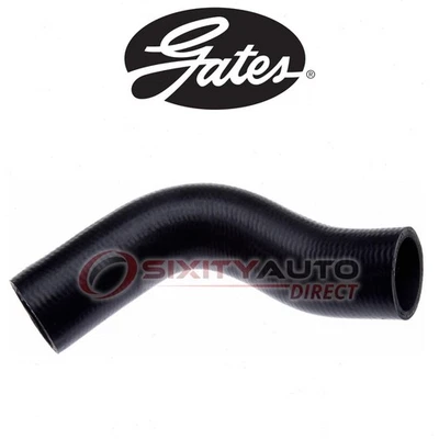Gates Lower Radiator Coolant Hose for 1995-1998 Ford Windstar 3.8L V6 - uf - Imagem 1 de 4