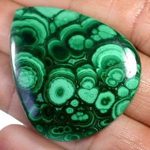 130.95Cts Mind Blowing Malachite 100% Natural Cabochon Loose Gems 39x46x05mm E49 - Picture 1 of 2