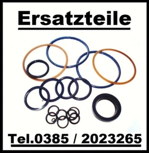 MTS Belarus ( Dichtsatz für C100 Hubzylinder ) Kraftzylinder Hydraulikzylinder - Bild 1 von 1