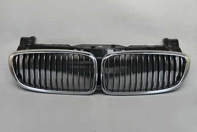 BMW 750i 760i Alpina B7 2006-2008 parrilla del radiador delantero 51137145738 OEM 06 07 08 Foto 1 de 4
