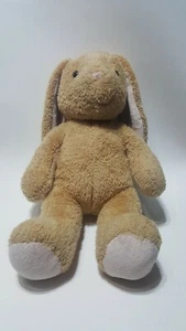 Build-A-Bear Bunny Rabbit Workshop Tan Pink Floppy Ears Stuffed Plush Animal 16" - Picture 1 of 6