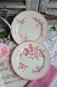 2 ANTIQUE DESSERT PLATES IRON EARTH FAVORITE BIRD SARREGUEMINES DIGOIN - Picture 1 of 6
