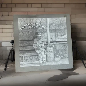 The Marshall Tucker Band  Where We All Belong 2LP Vinyl Capricorn Records VG+/VG - Picture 1 of 8